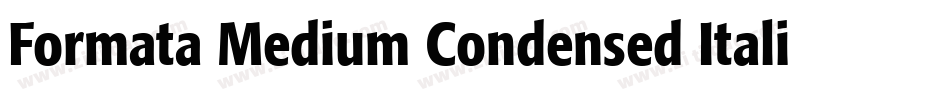 Formata Medium Condensed Italic字体转换